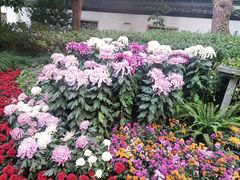 -杭州植物园