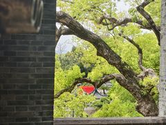 -江心屿景区