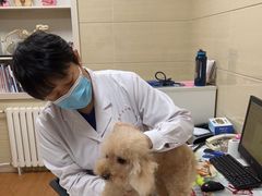 -北京观赏动物医院·24小时大型综合·猫专科·异宠专科