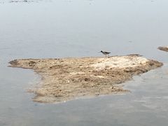 -青海湖仙女湾景区