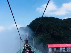 -梦幻奥陶纪景区