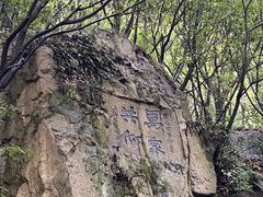 -普陀山风景区-佛顶山