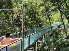 -参仙谷生态旅游度假区
