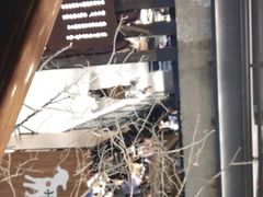 -快乐小羊(富强中路店)