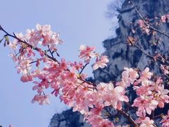 -南溪山景区