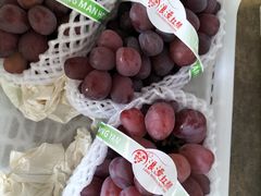 -马陆小张葡萄园农家乐