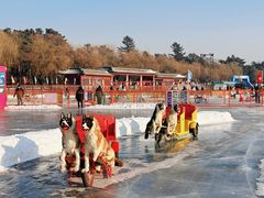 -长春市南湖公园