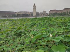 -浙江大学(海宁国际校区)