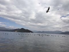-丽江泸沽湖景区-里格半岛