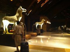 -三亚湾海居铂尔曼度假酒店