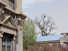 -张学良旧居陈列馆