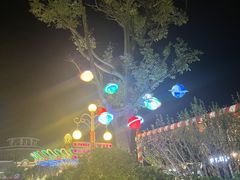 -青岛方特梦幻王国