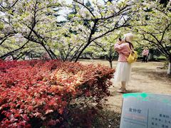 -白塘生态植物园