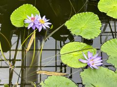 -国家植物园南园