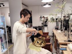 -净漪造型 PURE RIPPLE