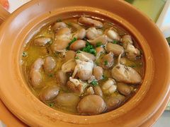 鸡汁川豆芽-骏莱海鲜鱼港(五角场店)