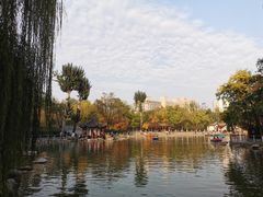 -莲湖公园
