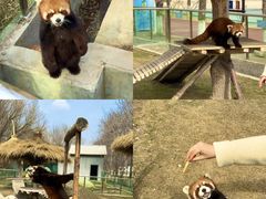 -水上乐园·欢乐世界