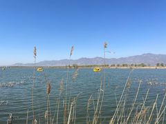 -野鸭湖国家湿地公园