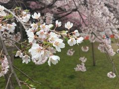 -醍醐寺