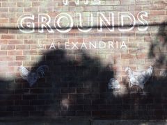 -The Grounds of Alexandria