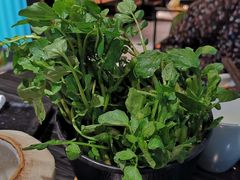 -东椰·海南椰子鸡火锅(朝阳门店)