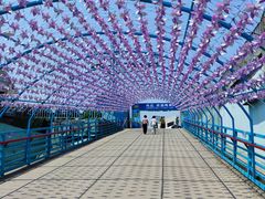 -大连圣亚海洋世界
