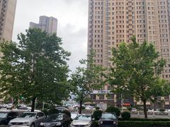 -八马茶业(星海胜利路旗舰店)