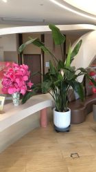 -侒悦缦月子中心·疗愈园区(龙岗店)