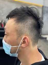 -蚂蚁造型俱乐部