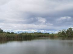 -盐城丹顶鹤湿地生态旅游区