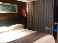 -佛山岭南天地康得思酒店