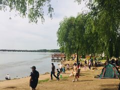 -丁香湖公园