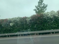 -鸣鹤古镇
