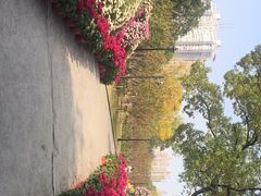 -上海市龙华烈士陵园