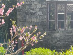 -八大山人梅湖景区