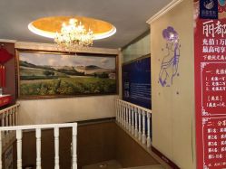 -贵阳丽都医疗美容医院