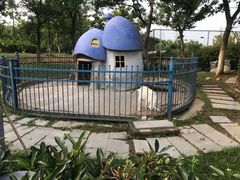 -上海滴水湖皇冠假日酒店