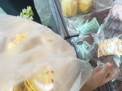 -西双版纳傣族园