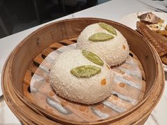 -金香匯晚茶(浑南店)