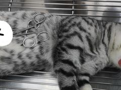 -荔康动物医院(康王北路店)