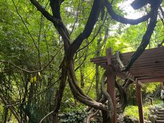 -吴山景区
