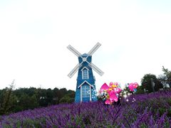 -铁山坪森林公园