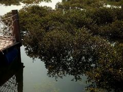 -北海金海湾红树林生态旅游区