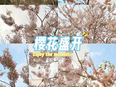 -白石龙音乐公园