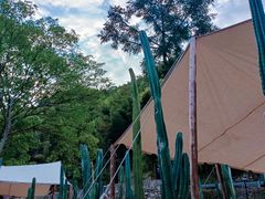 -MOJ coffee(瓯海泽雅水碓坑店)