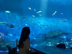 餐饮设施-上海海昌海洋公园