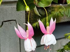 -海窝子古镇