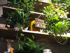-管氏翅吧(地安门创始店)