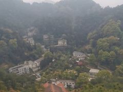 -大金鹰园